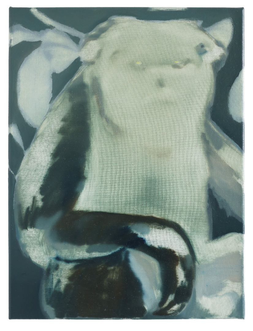 Anna Maria Schönrock Stumpfnasenaffe, 2020, 40 x 30 cm, Öl auf Leinwand © und Foto: the artist