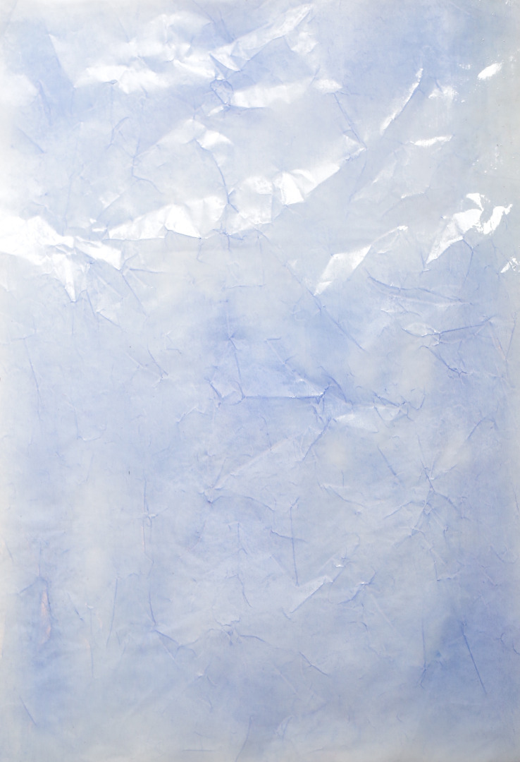 Carlos Cortizo, GROW, 2020, Tusche auf Transparentpapier, 41,5 x 29,5 cm © und Foto: the artist