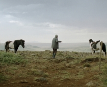 Von Menschen und Pferden / Kjartan Ragnarsson / Foto: Bodega Films