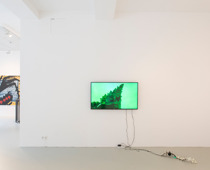 Julius Jurkiewitsch, o. T. (serpents//singularity), 2020 / Federico Braunschweig, Phönix, 2020, Installationsansicht