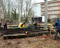 Rückbau und Recycling der Hochseilgarten-Materialen 