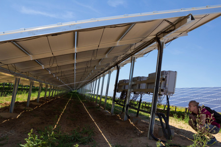 Photovoltaik am Land. Foto: Tobias Rühl